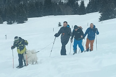 IMG_20220122_104344_HDR