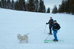 IMG_20220122_125451_HDR
