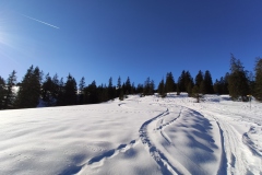 Hat mal jemand gesagt es gibt kein Schnee?