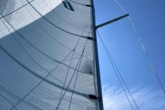 IMG-20230902-WA0012